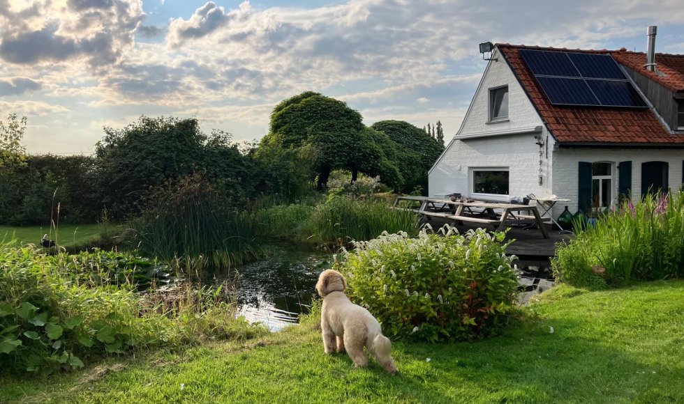 maarkedal-omer wattezstraat-twijland