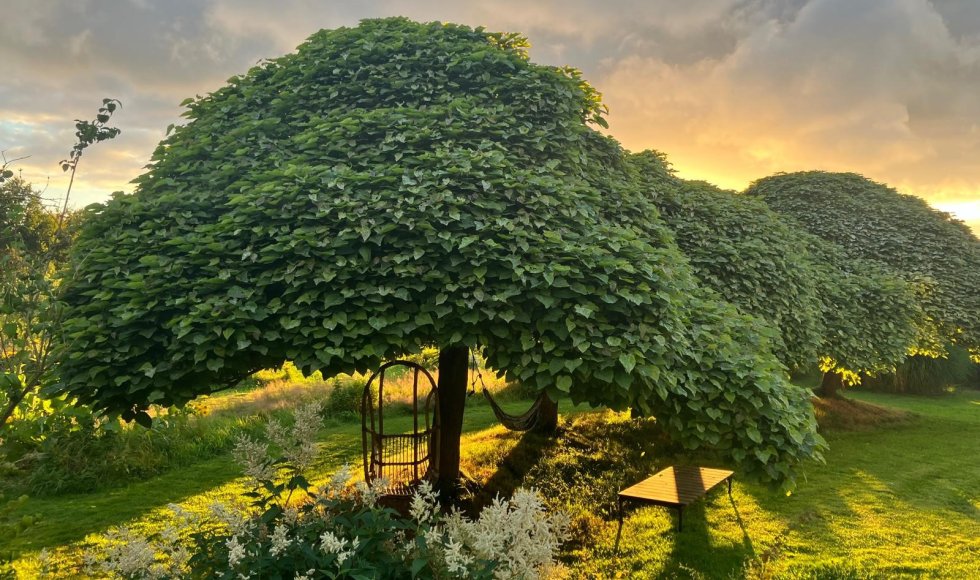 maarkedal-omer wattezstraat-twijland