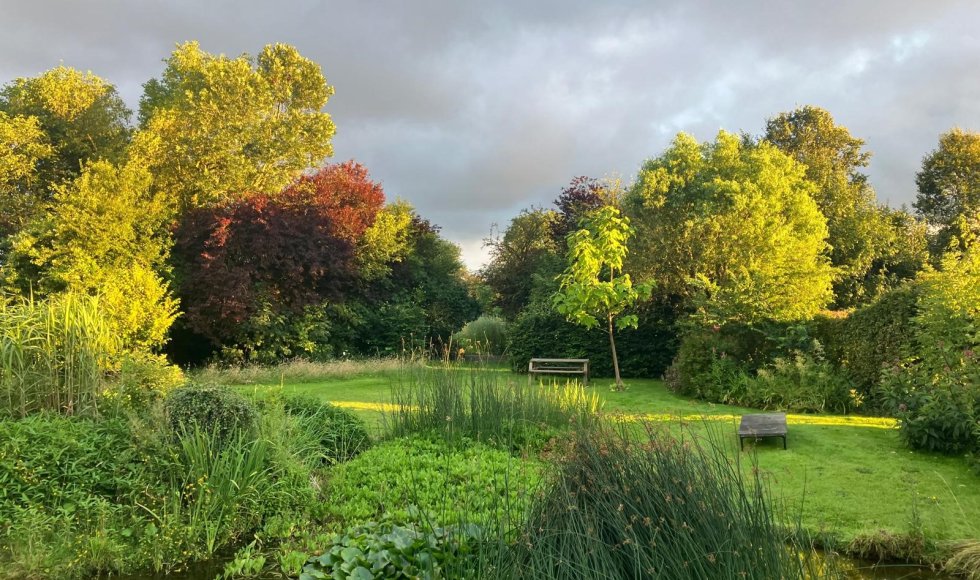 maarkedal-omer wattezstraat-twijland