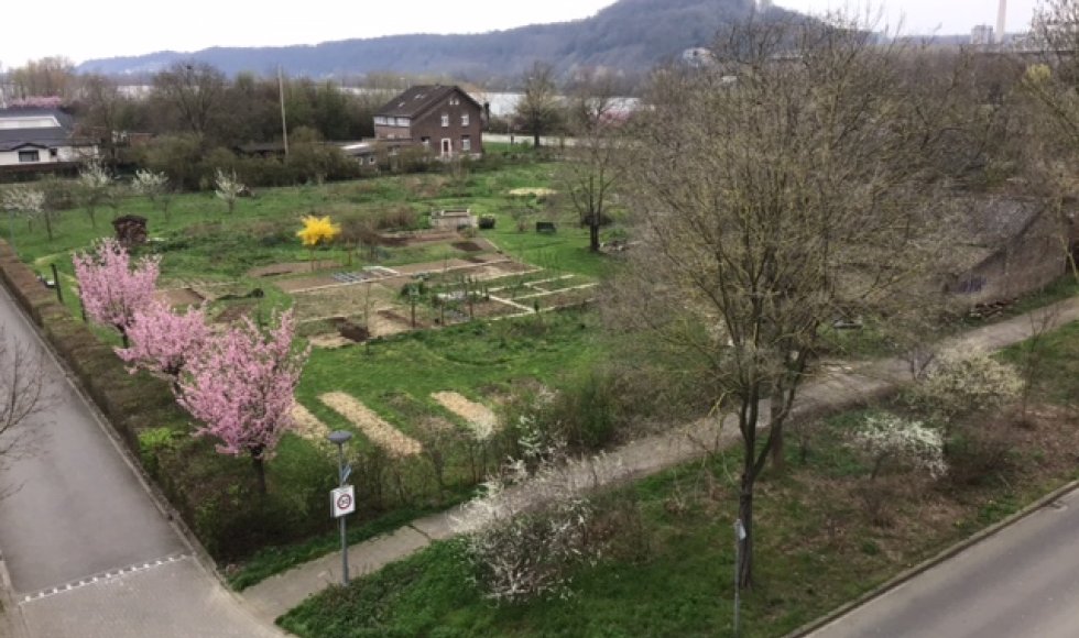 Tuinzicht Lichtenberg