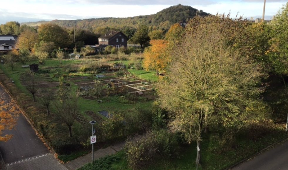Tuinzicht Lichtenberg