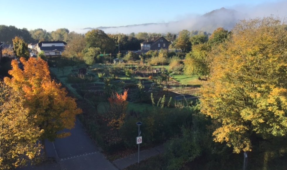 Tuinzicht Lichtenberg