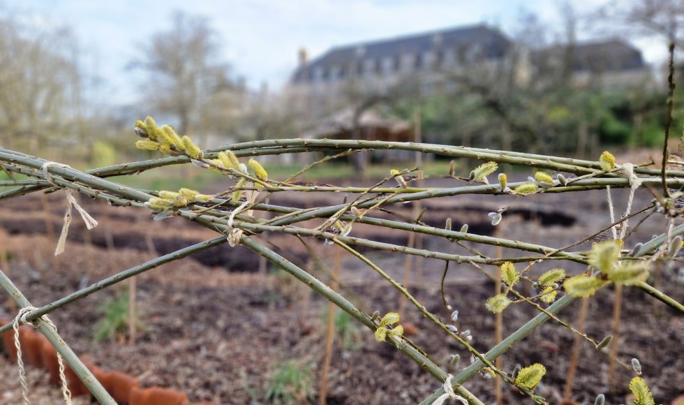 mariakerke_beekstraat1_fleur-couleur