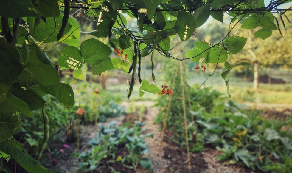 mariakerke_beekstraat1_fleur-couleur