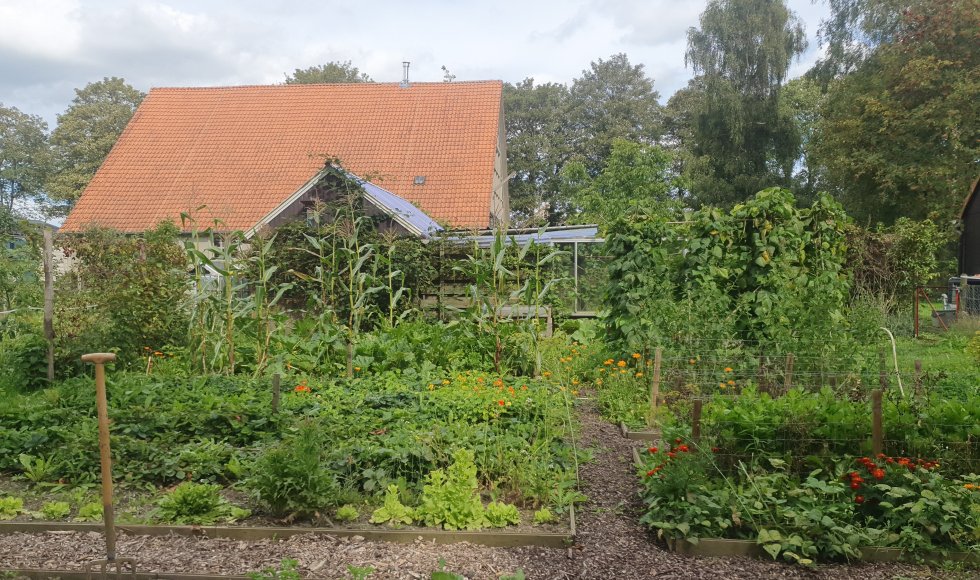 Marknesse Radiculla 1