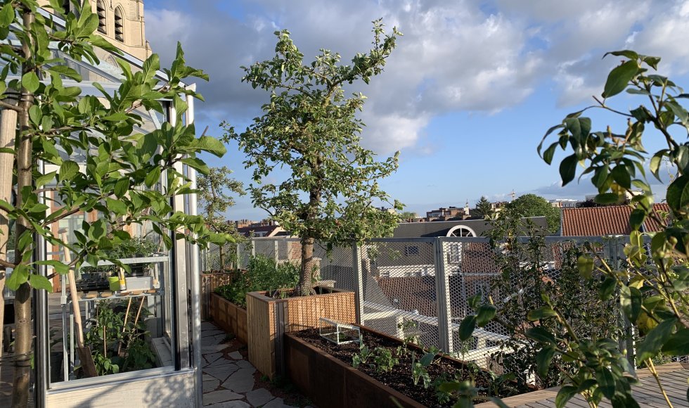 Mechelen_Ziekeliedenstraat_HofVanEvert