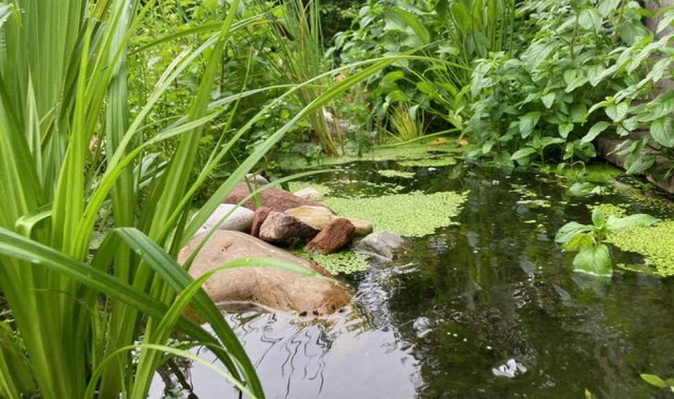 de kruidenkamers van kruid