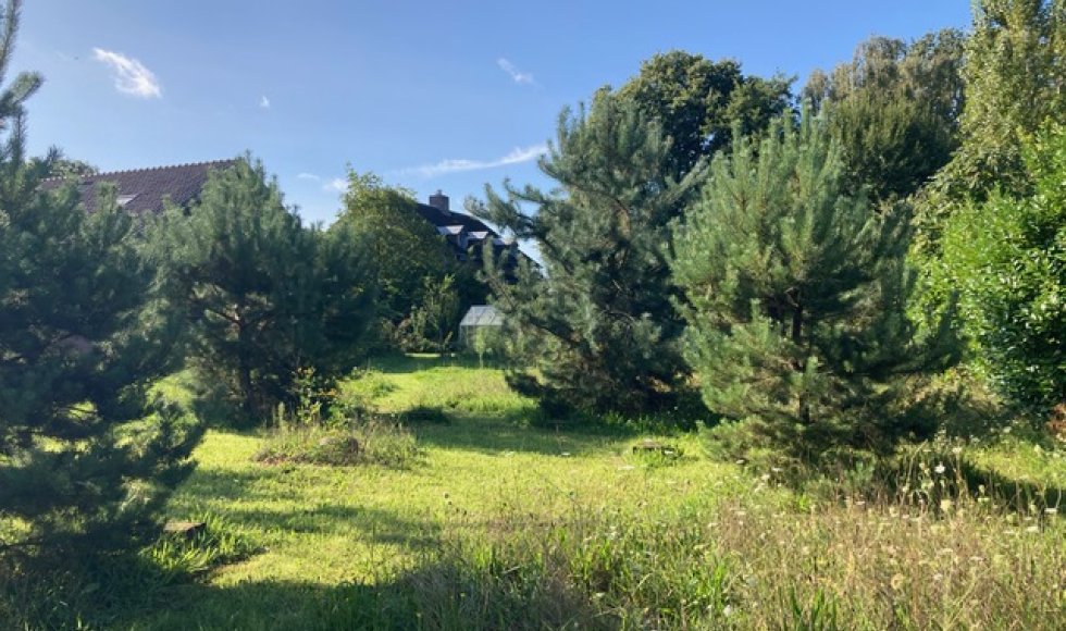 de kruidenkamers van kruid