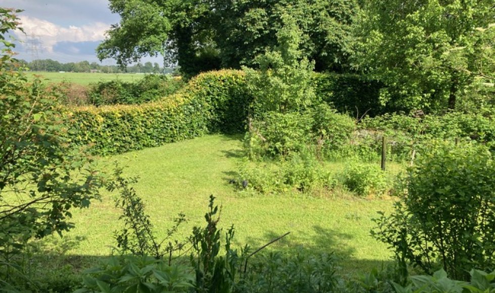 de kruidenkamers van kruid