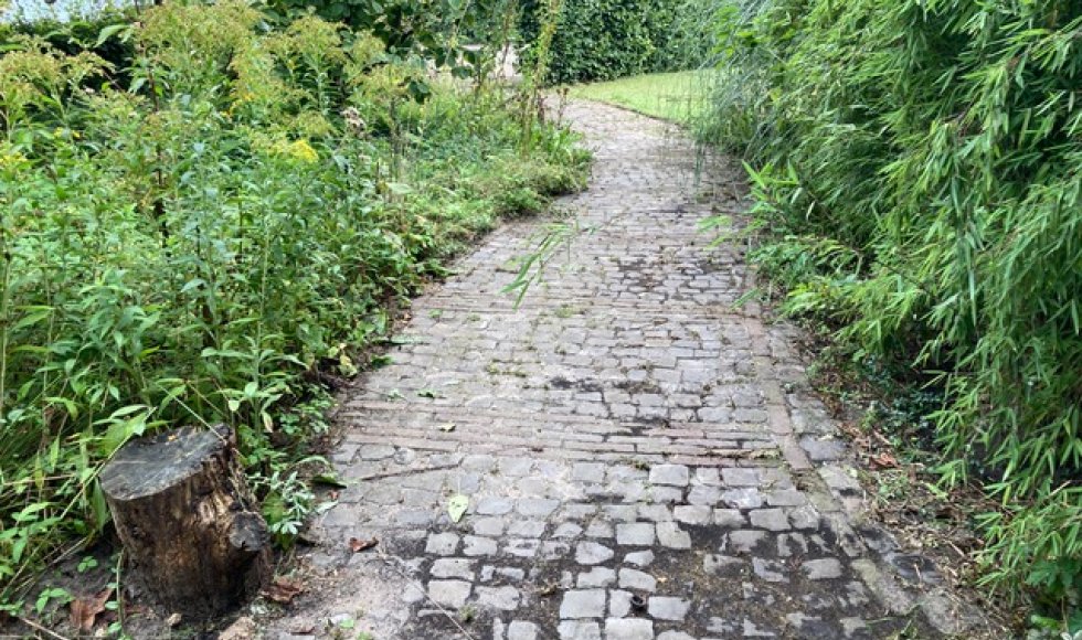 de kruidenkamers van kruid