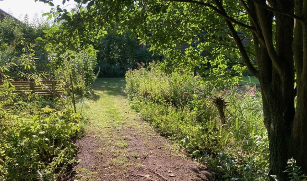 de kruidenkamers van kruid
