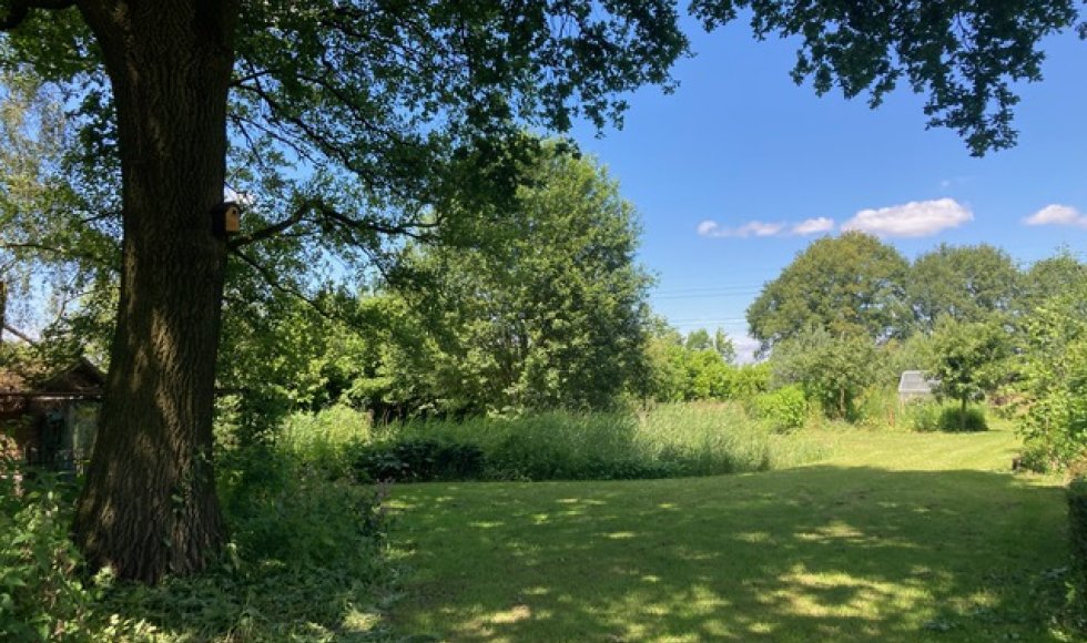 de kruidenkamers van kruid