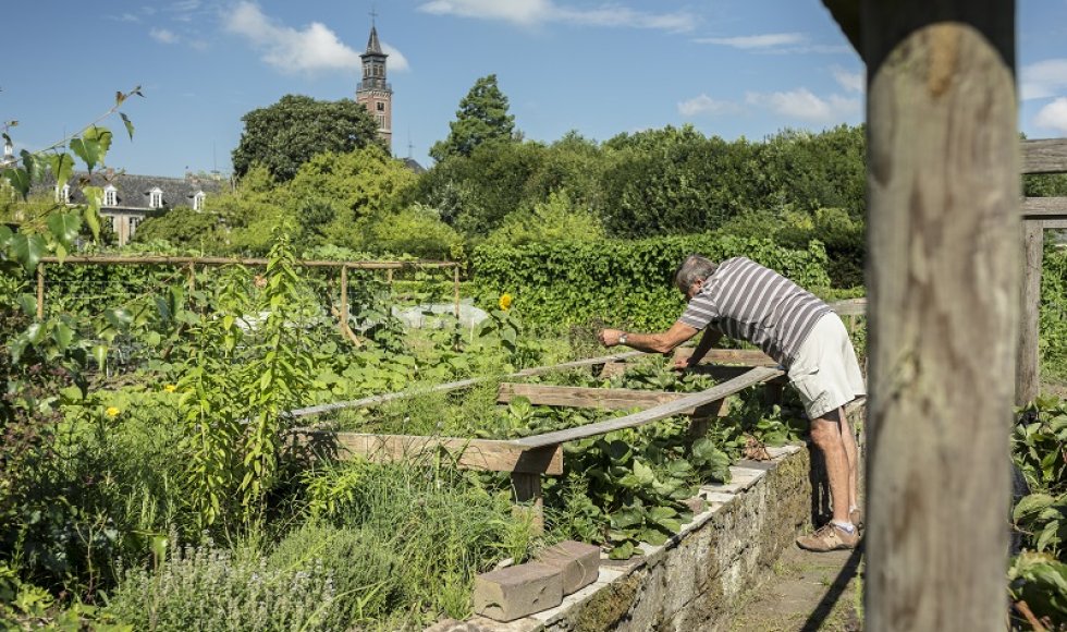 Hitte in de moestuin