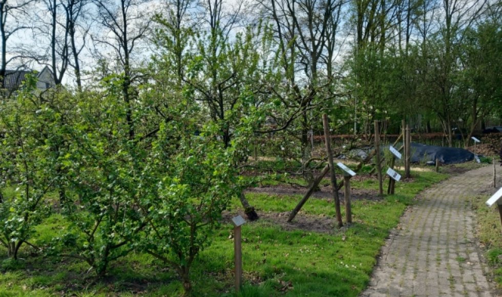 Natuurtuin 't Loo Bergeijk 2026