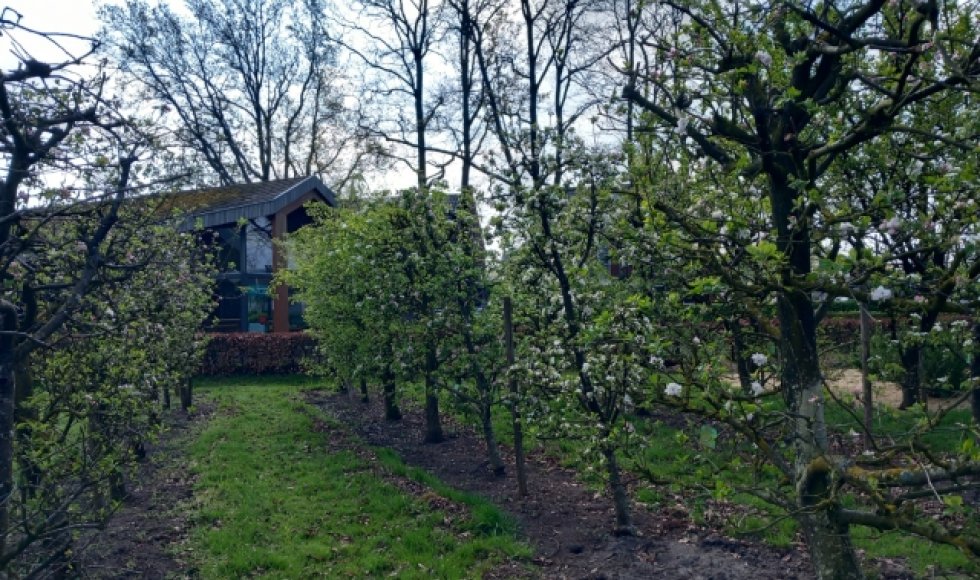 Natuurtuin 't Loo Bergeijk 2026