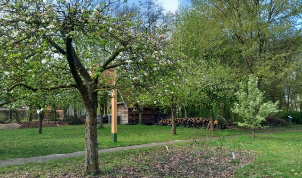 Natuurtuin 't Loo Bergeijk 2026