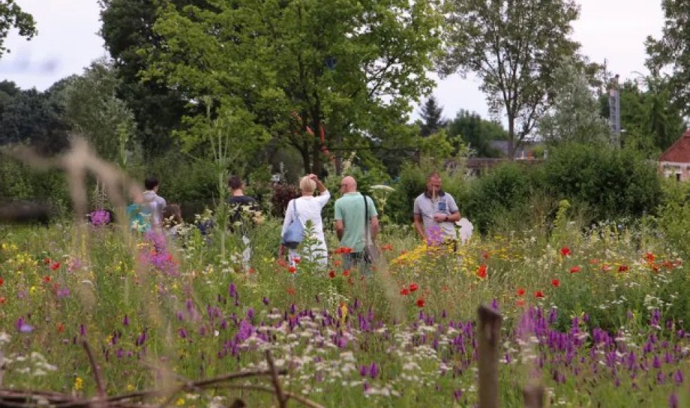Natuurtuin 't Loo Bergeijk 2026
