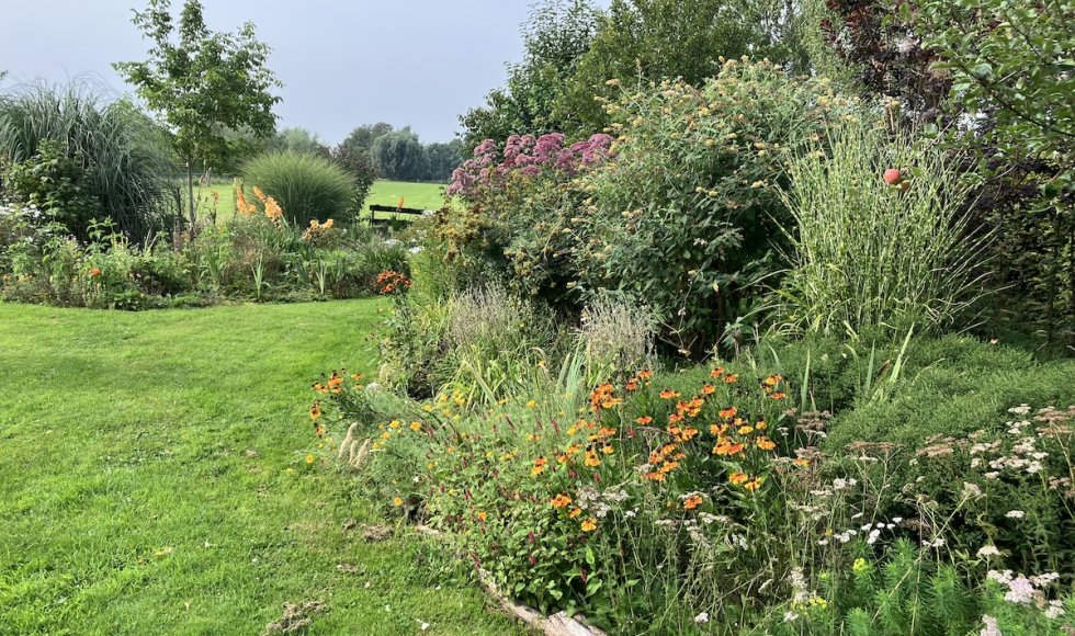 Nijkerkerveen Plantjeplek 1