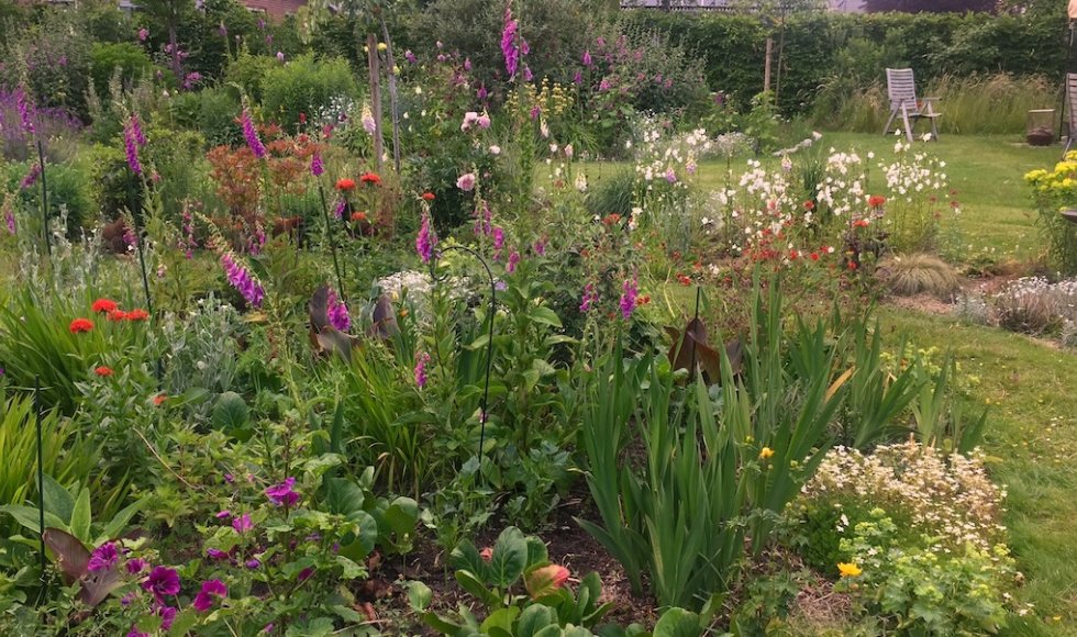 Nijkerkerveen Plantjeplek 2