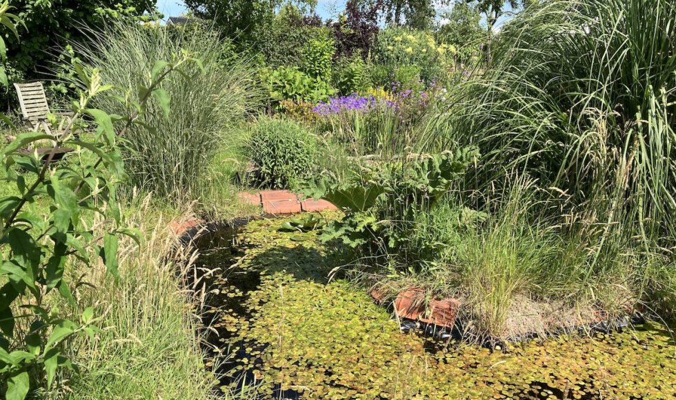 Nijkerkerveen Plantjeplek 3