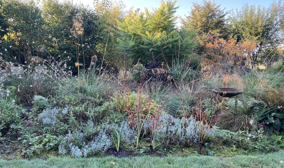 Nijkerkerveen Plantjeplek 4