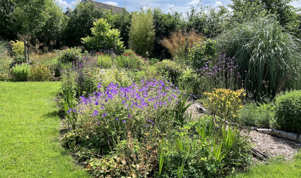 Nijkerkerveen Plantjeplek 6