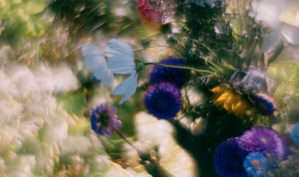 De Hommel Vzw - Sint Joris Weert