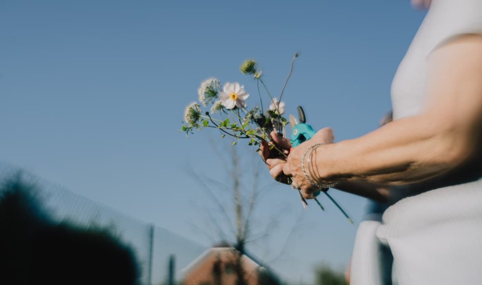 De Hommel Vzw - Sint Joris Weert