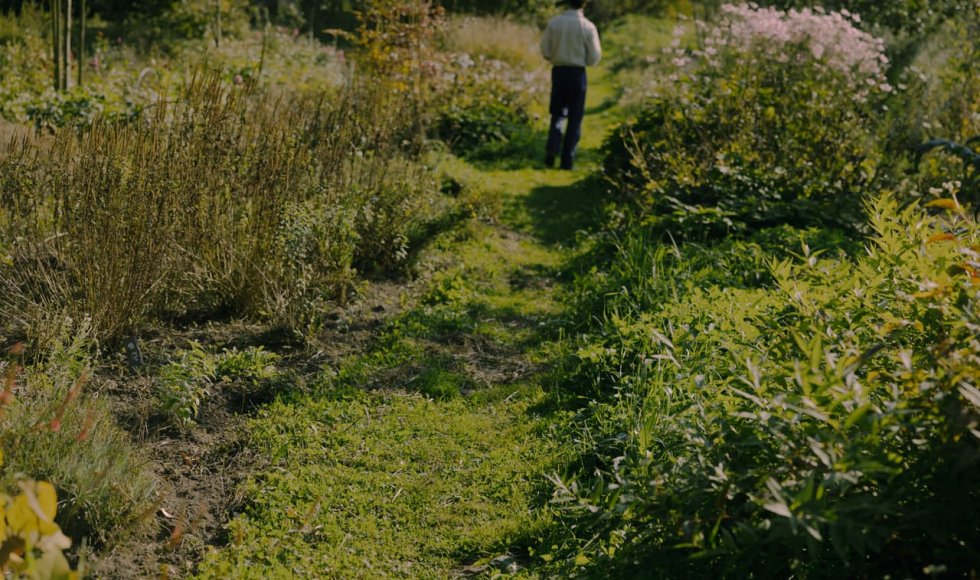 De Hommel Vzw - Sint Joris Weert