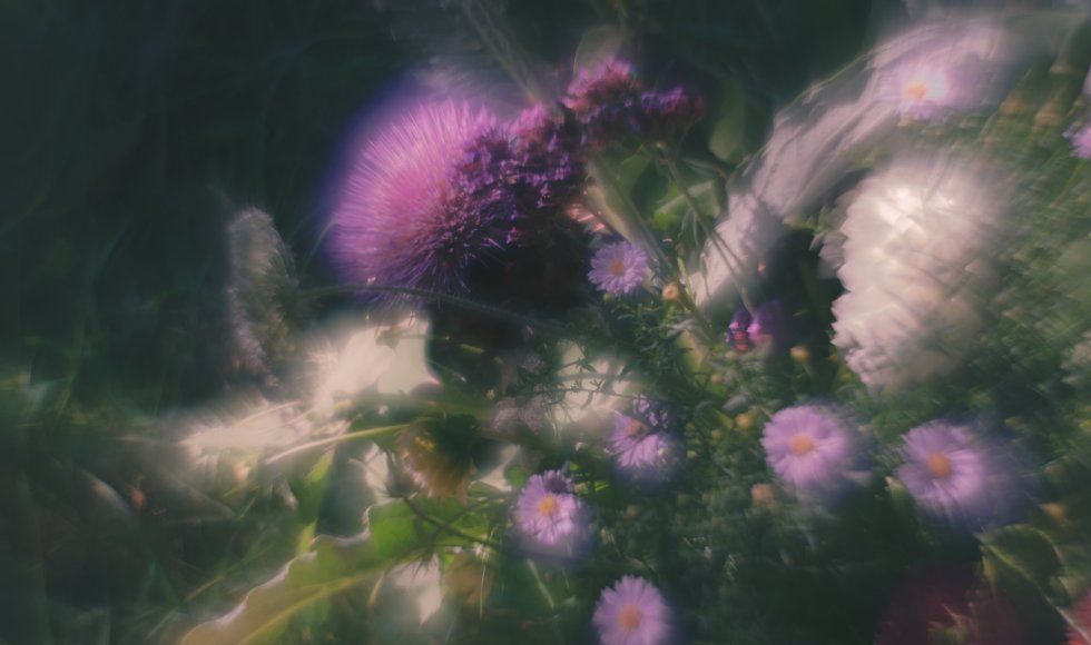 De Hommel Vzw - Sint Joris Weert