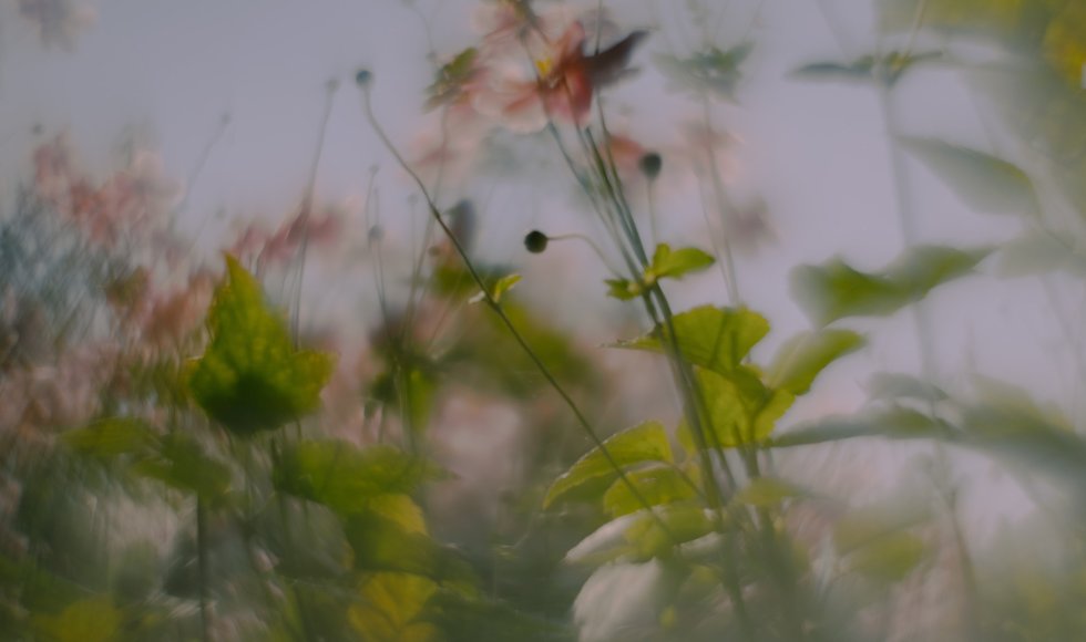 De Hommel Vzw - Sint Joris Weert