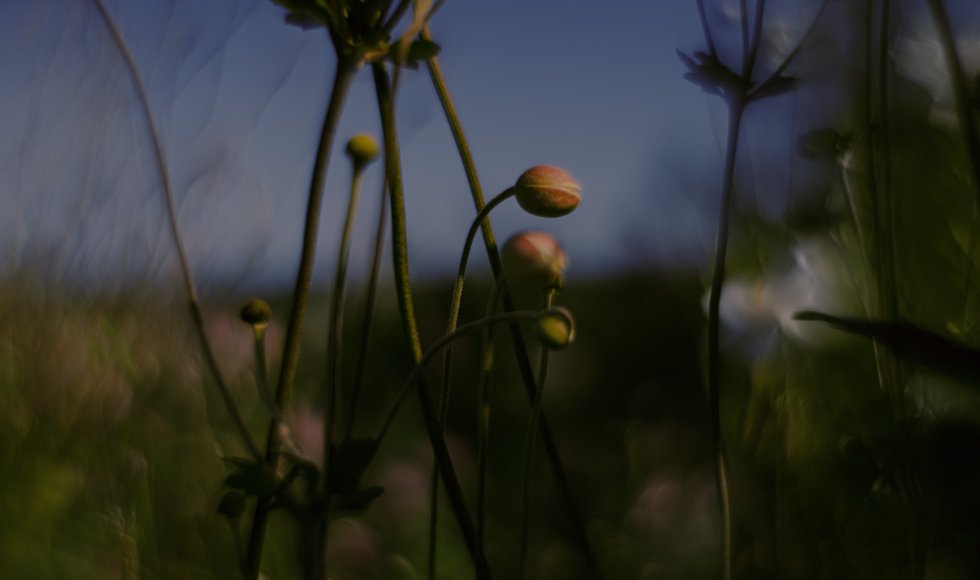 De Hommel Vzw - Sint Joris Weert