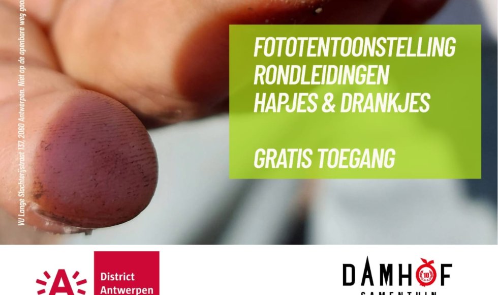 damhof 2026