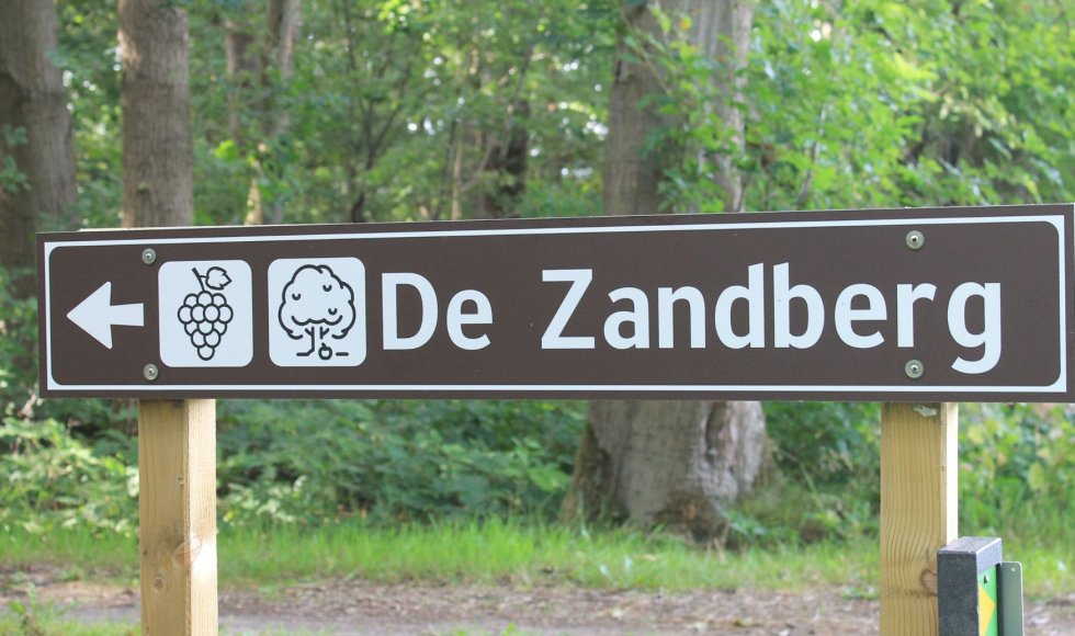 wijn