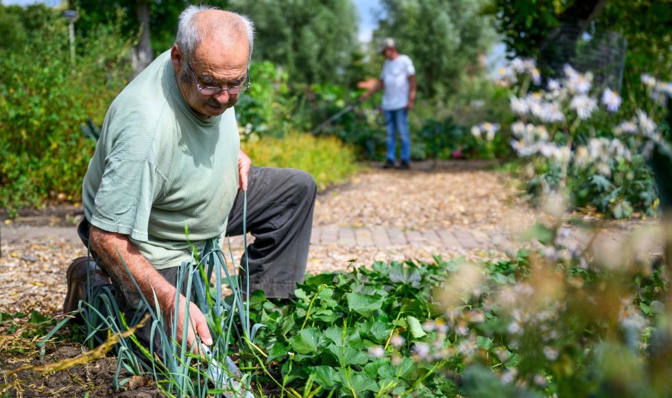 toekomsttuin