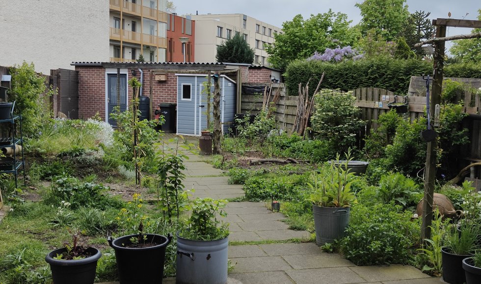 Ecologische Stadstuin van Geffen