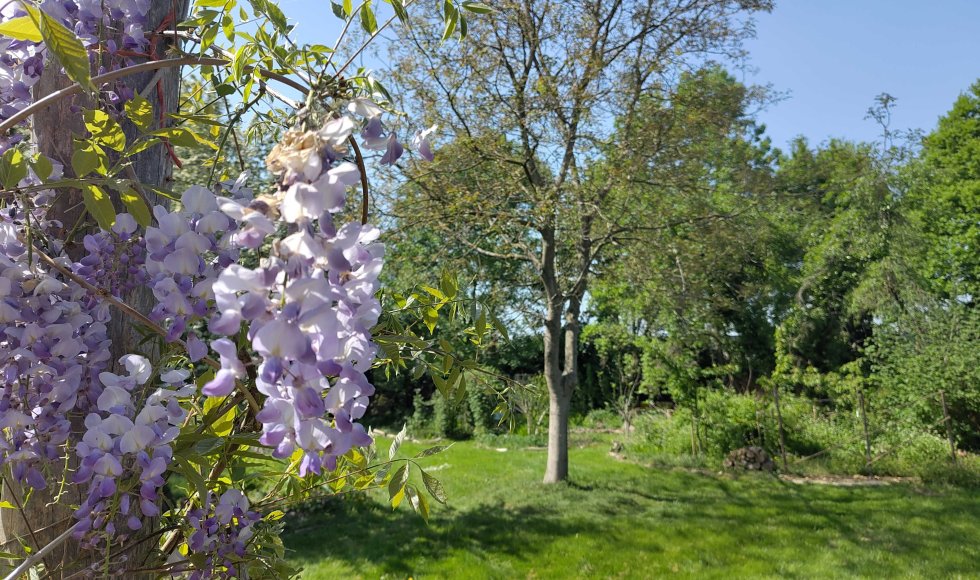 ecotuin van Pim en Ineke