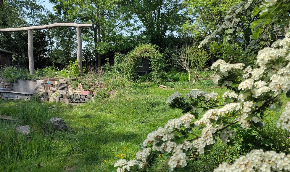 ecotuin van Pim en Ineke