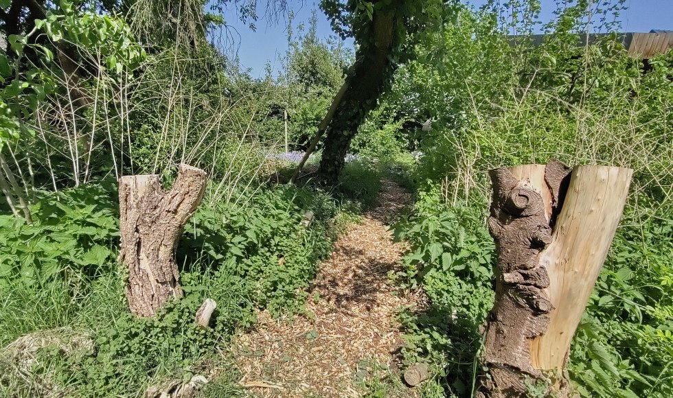 ecotuin van Pim en Ineke