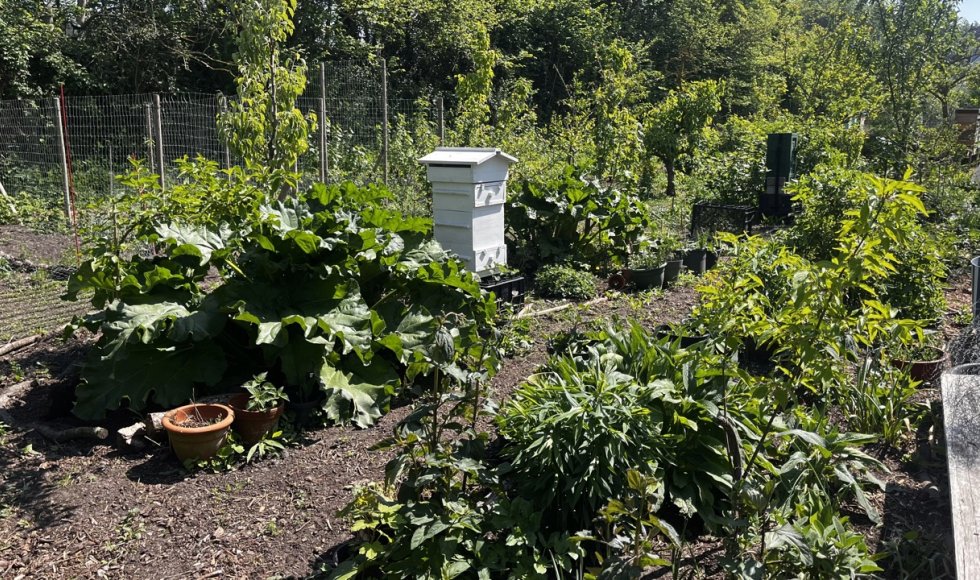 Imkertuin Achter 't Duunhek