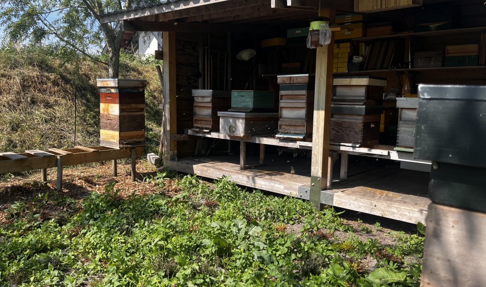 Imkertuin Achter 't Duunhek