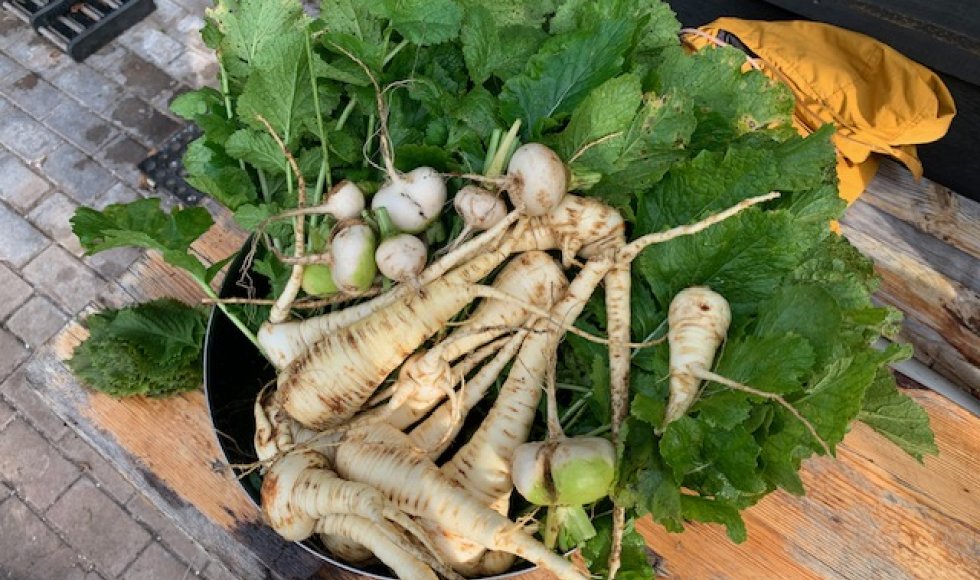 Het Landje van De Boer