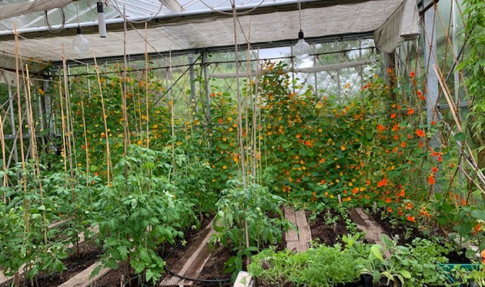 Het Landje van De Boer