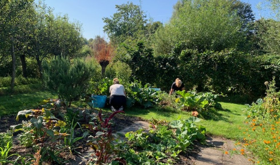 Het Landje van De Boer