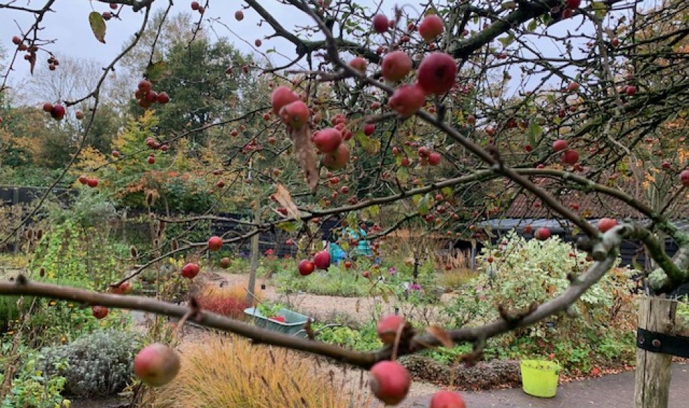 Het Landje van De Boer
