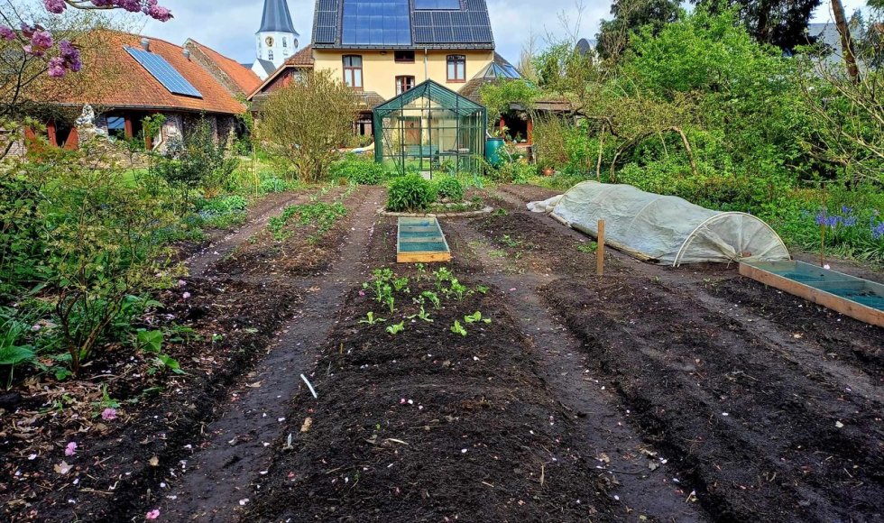 Paradiso_Philip Haers