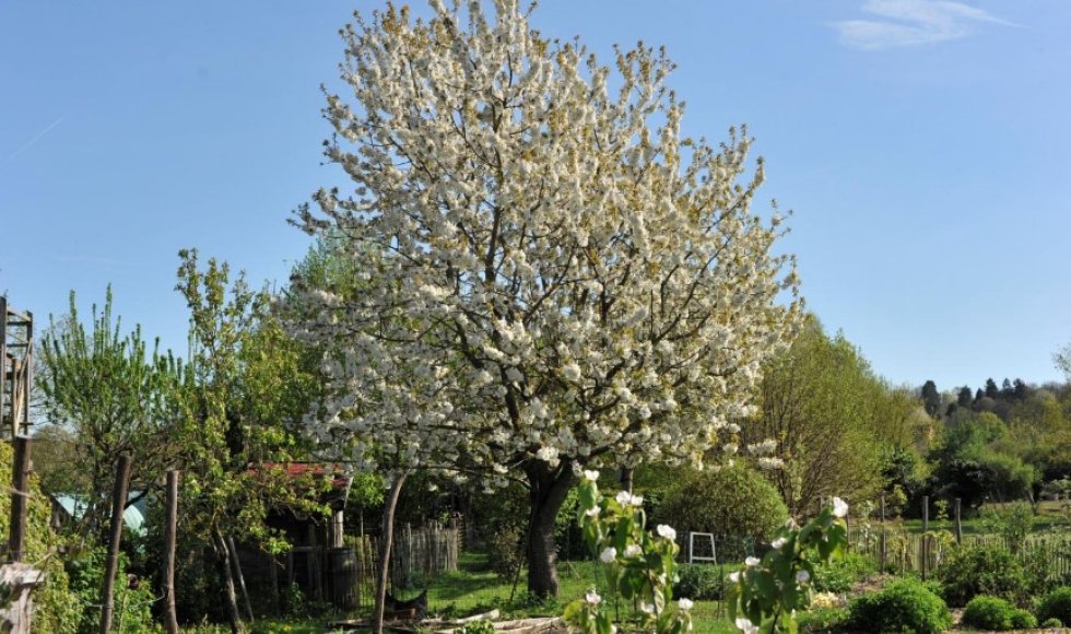 Peter en Marieken_winksele