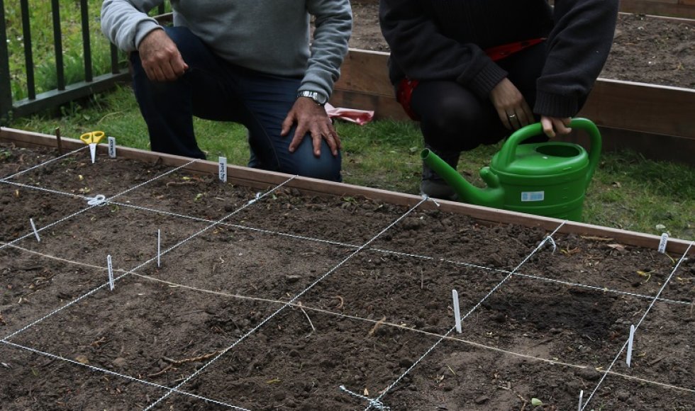 Project Groene vingers en letters