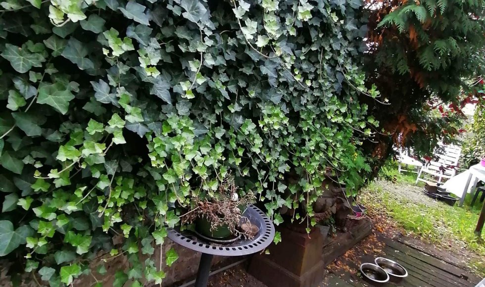 Hart voor dier en tuin