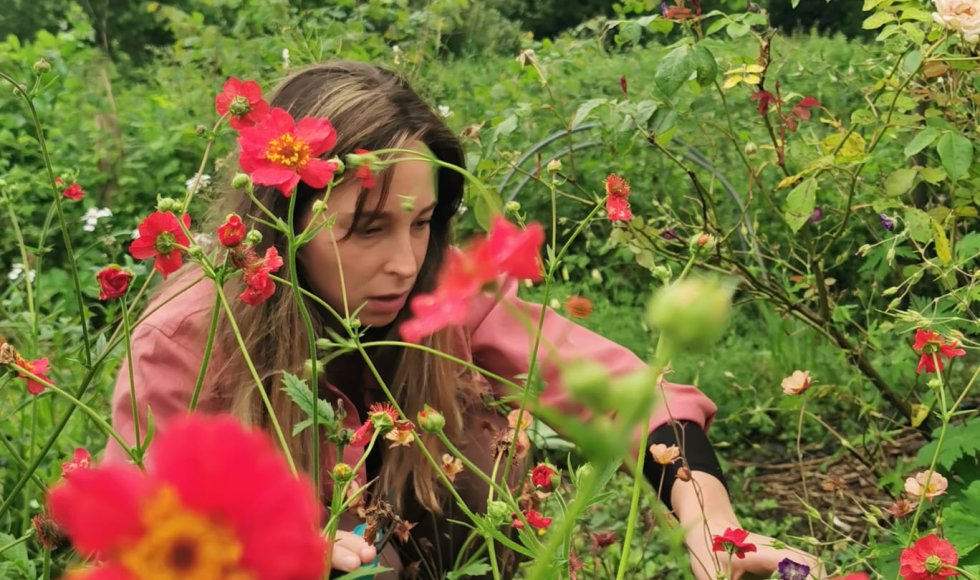 De Hommel Vzw - Sint Joris Weert